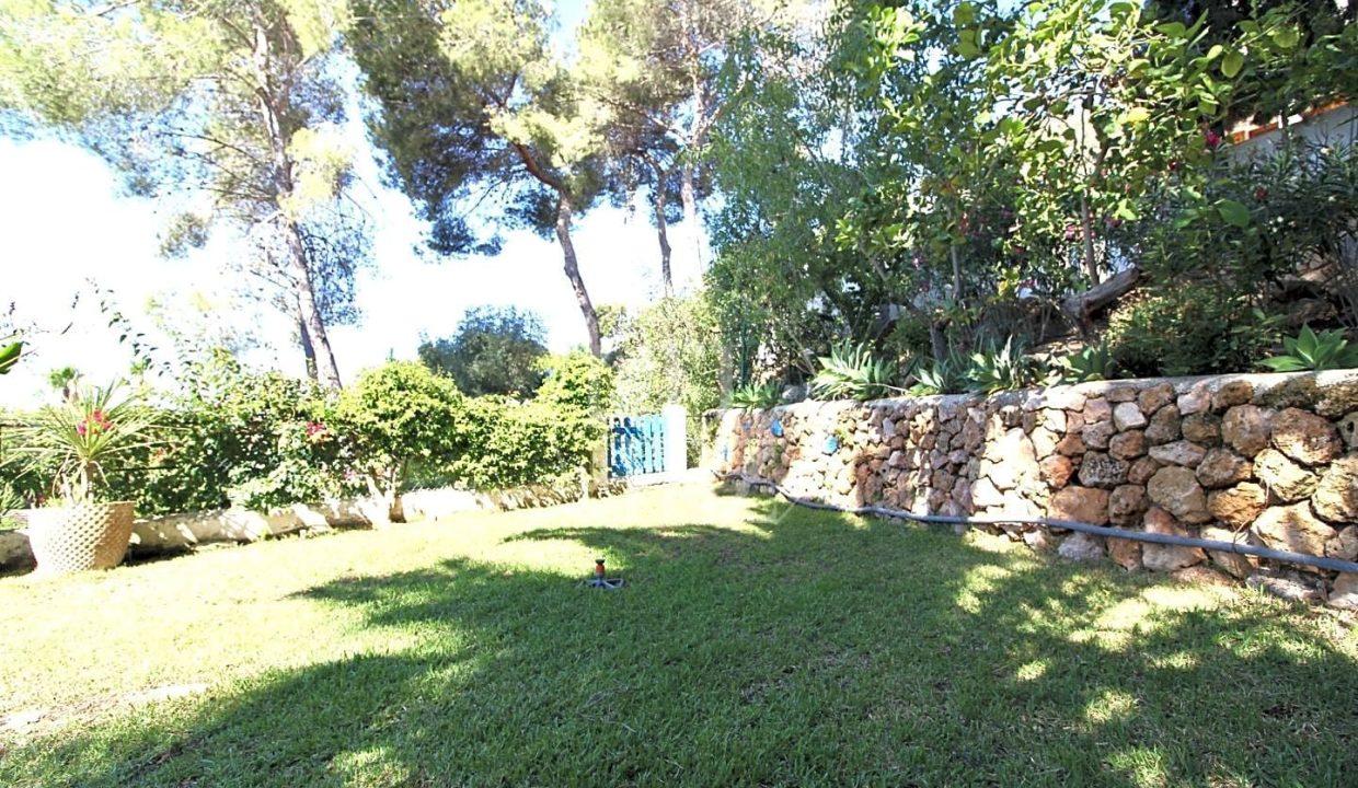 0ce7f421-0003421746.jpg