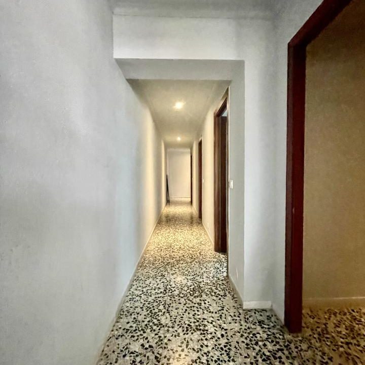 4143986-889ce802.jpg